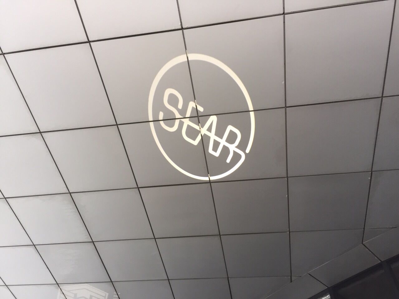 logo projection